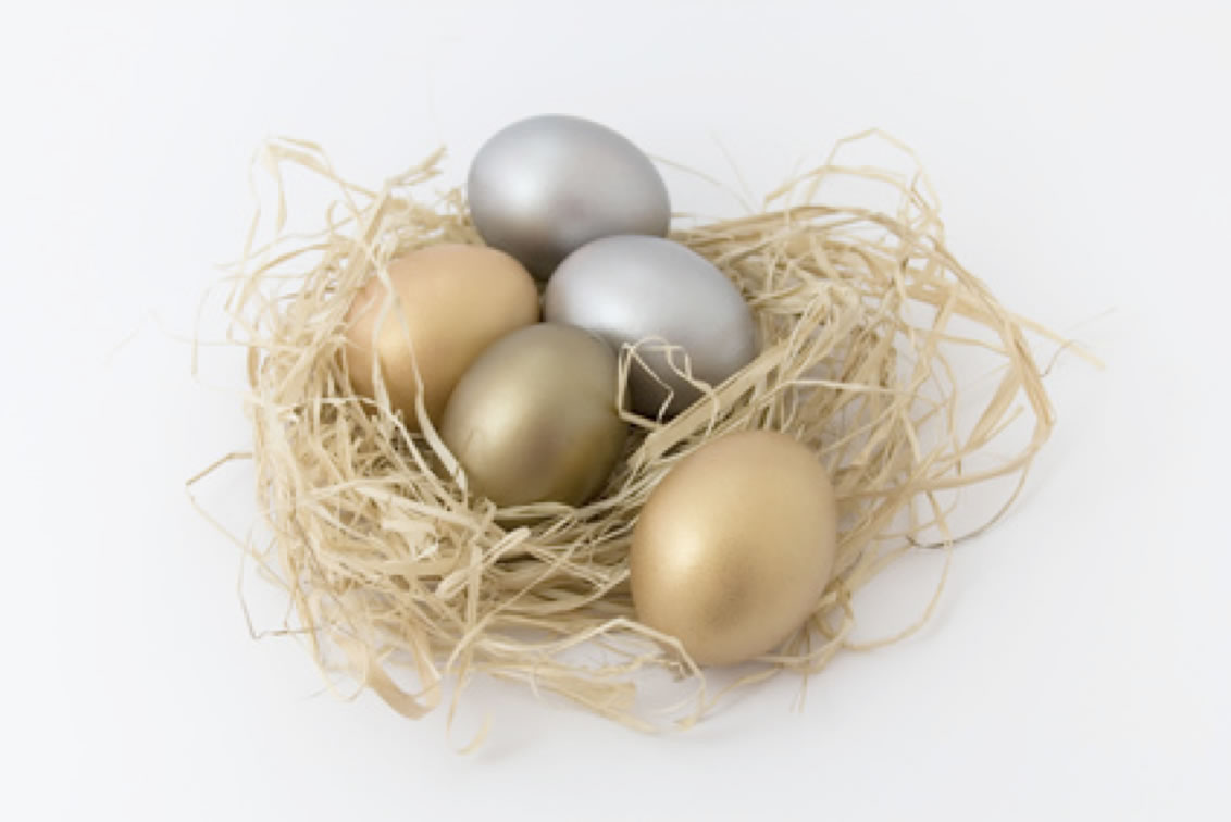 Nest Egg